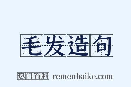 毛发造句是什么意思的图片